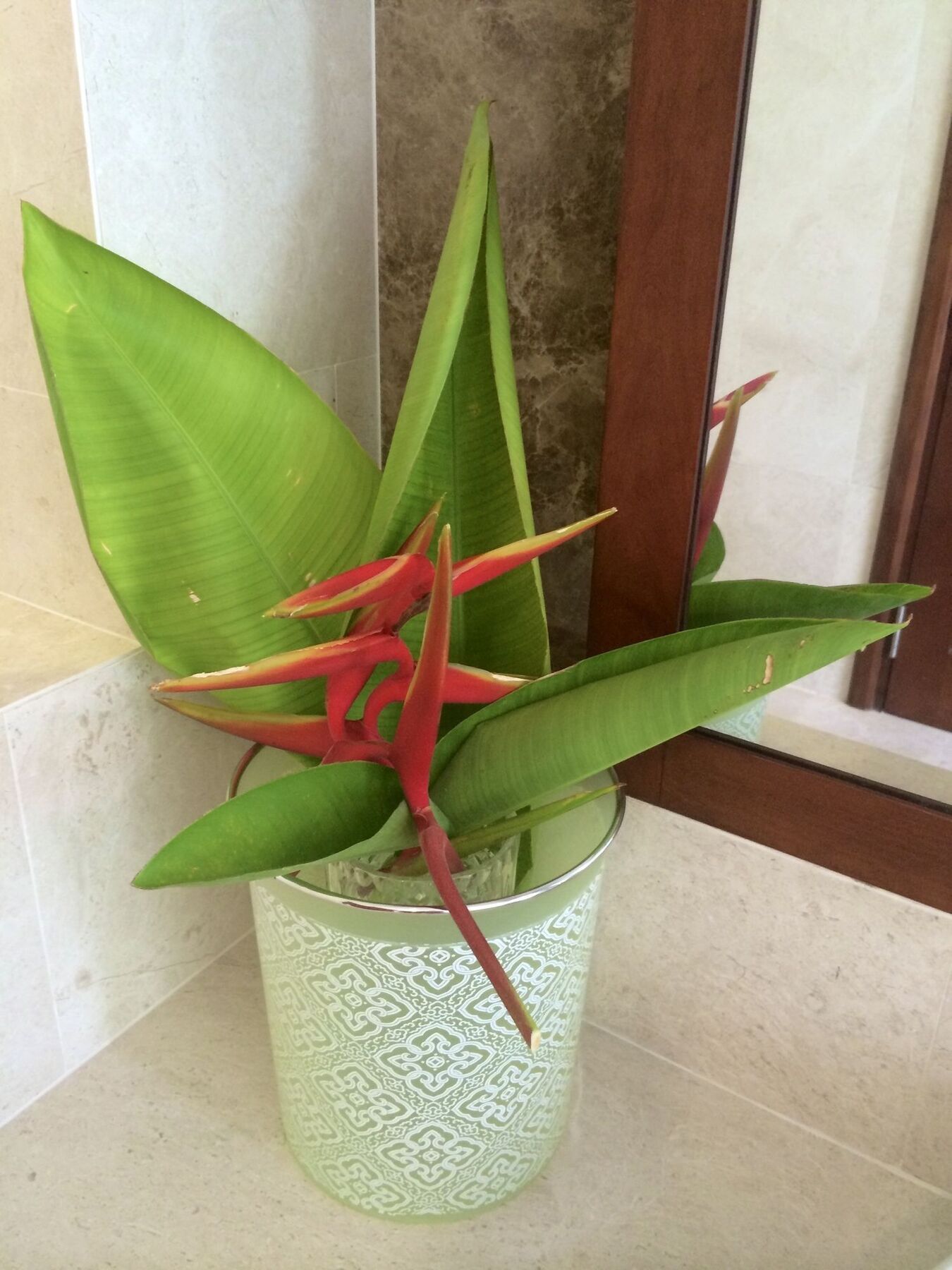 Pearl Paradise Villa Danang Dış mekan fotoğraf